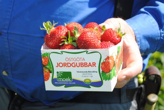 1 liter jordgubbar 1 liter jordgubbar